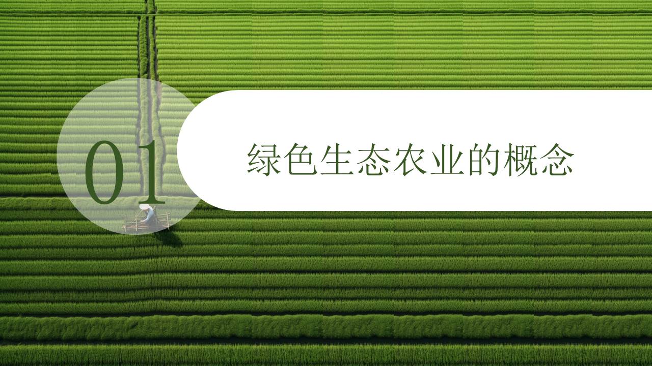 农业 (22).pptx